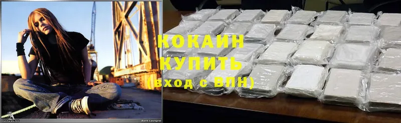 Cocaine Эквадор  купить  цена  Камень-на-Оби 