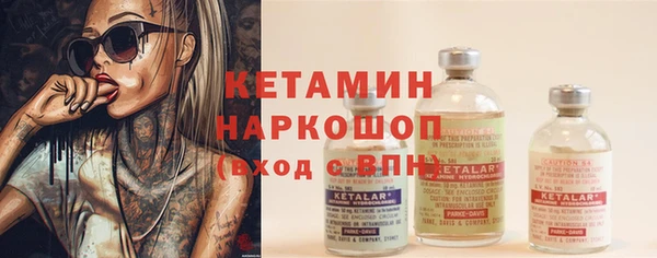 прущие крисы Новозыбков