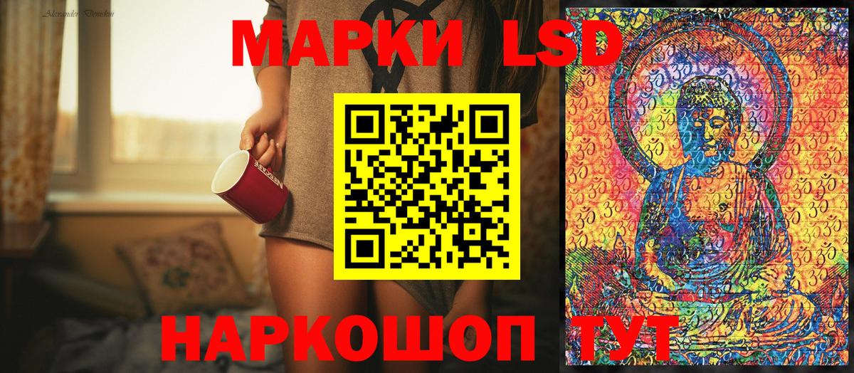 дарнет шоп  Наркотические марки 1,8мг  Вход с VPN  Камень-на-Оби 