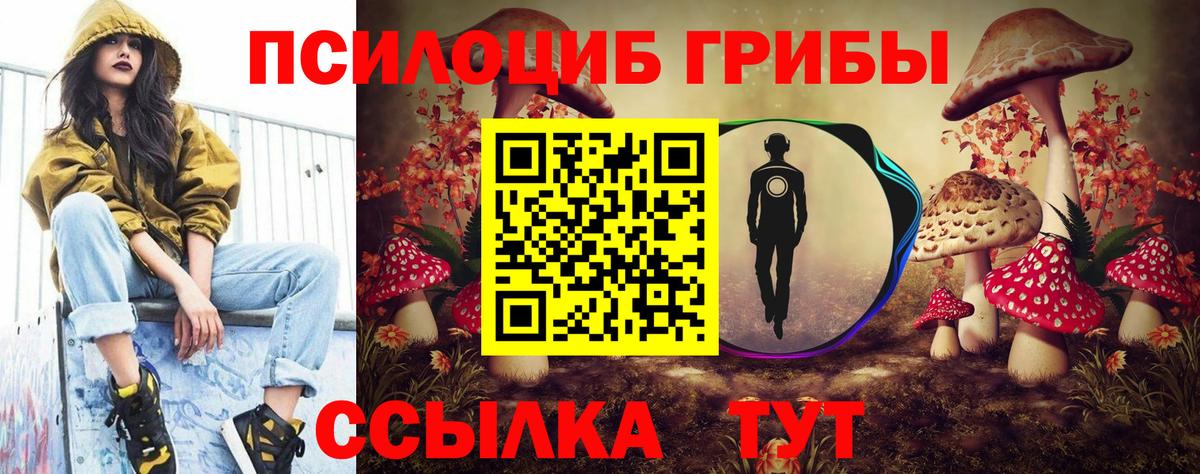 Псилоцибиновые грибы Magic Shrooms  где продают наркотики  Камень-на-Оби 