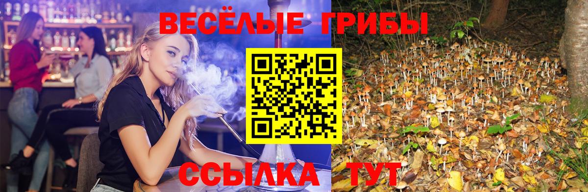Псилоцибиновые грибы Psilocybine cubensis Камень-на-Оби